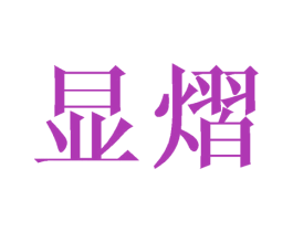显熠 第25类服装鞋帽商标转让 注册号45009967