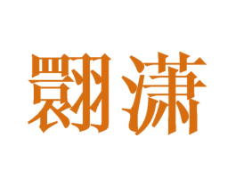翾潇 第25类服装鞋帽商标转让 注册号41697117