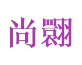 尚翾 第25类服装鞋帽商标转让 注册号41684337