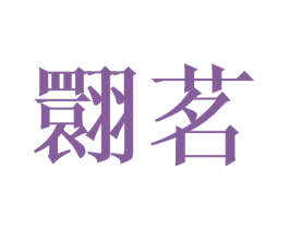 翾茗 第25类服装鞋帽商标转让 注册号41686043