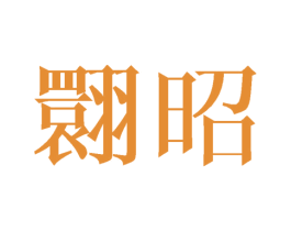 翾昭 第25类服装鞋帽商标转让 注册号41692358