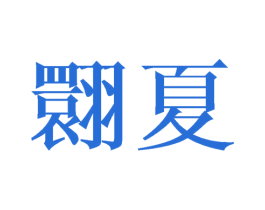 翾夏 第25类服装鞋帽商标转让 注册号41703396