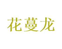 花蔓龙 第25类服装鞋帽商标转让 注册号42981666