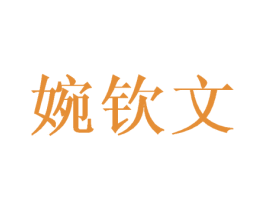 婉钦文 第18类皮革箱包商标转让 注册号42853306