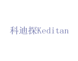 科迪探