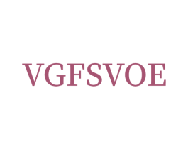 VGFSVOE 第18类皮革箱包商标转让 注册号73362447
