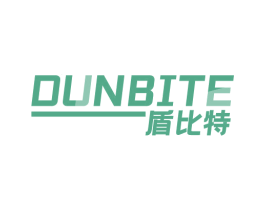 盾比特