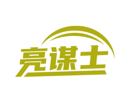 亮谋士