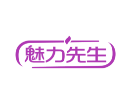 魅力先生