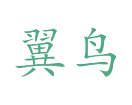 翼鸟 第09类科学仪器商标转让 注册号41651177