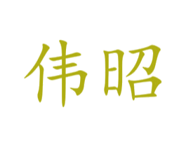 伟昭 第09类科学仪器商标转让 注册号45777468