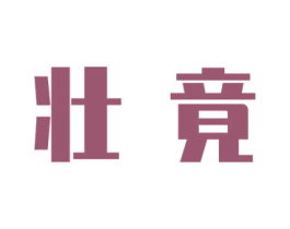 壮竟 第09类科学仪器商标转让 注册号45365831