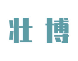 壮博 第09类科学仪器商标转让 注册号45362591