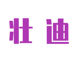 壮迪 第09类科学仪器商标转让 注册号45360090