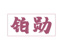 铂勋 第09类科学仪器商标转让 注册号42021563