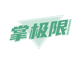 掌极限