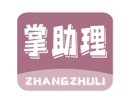 掌助理