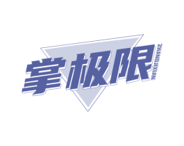 掌极限