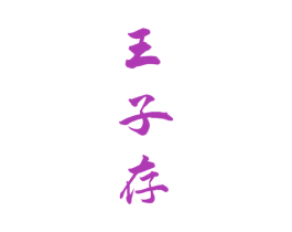 王子存