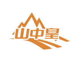 山中皇