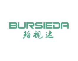 BURSIEDA 珀视达