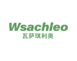 WSACHLEO 瓦萨琪利奥 第25类服装鞋帽商标转让 注册号72382241