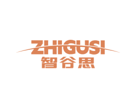 智谷思
