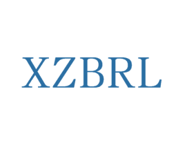 XZBRL