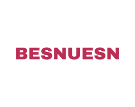 BESNUESN 第09类科学仪器商标转让 注册号58205767