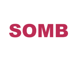 SOMB 第09类科学仪器商标转让 注册号53393818