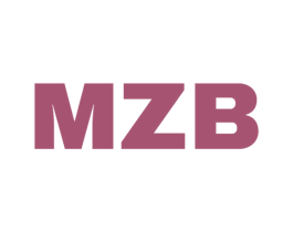 MZB 第09类科学仪器商标转让 注册号48641610