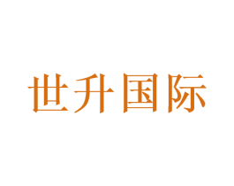 世升国际