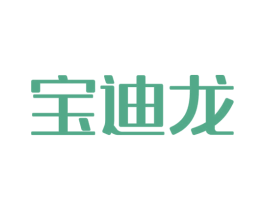 宝迪龙