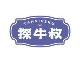 探牛叔