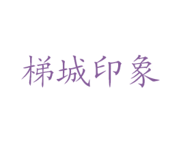 梯城印象 第30类小食配料商标转让 注册号23562343