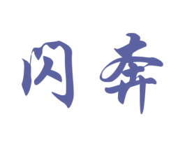闪奔 第09类科学仪器商标转让 注册号17672852