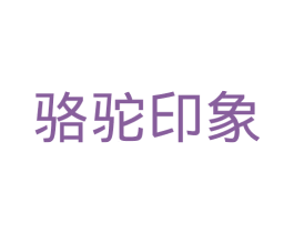 骆驼印象