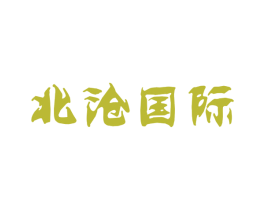 北沧国际