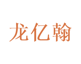 龙亿翰