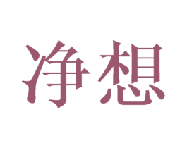 净想