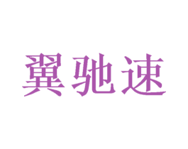 翼驰速 第09类科学仪器商标转让 注册号48651823