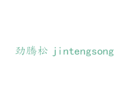 劲腾松 第25类服装鞋帽商标转让 注册号26915276