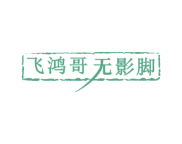 飞鸿哥 无影脚