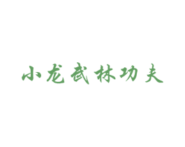 小龙武林功夫