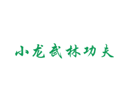 小龙武林功夫