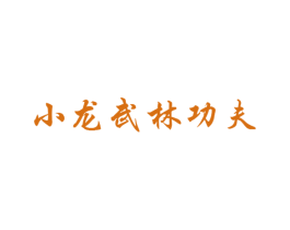 小龙武林功夫