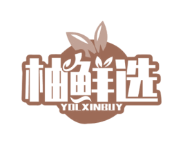 柚鲜选 YOLXINBUY