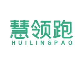 慧领跑