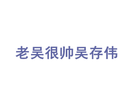 老吴很帅吴存伟