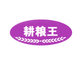 耕粮王 第30类小食配料商标转让 注册号64002940